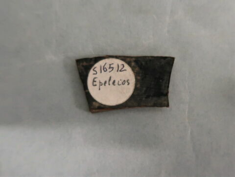 coupe, image 2/2