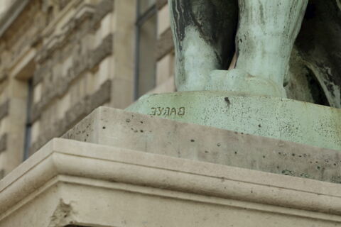 Lion assis, image 6/7