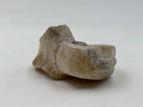 indéterminé, image 4/5