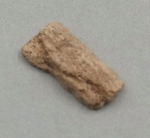 objet indéterminé, fragment ; peigne, fragment, image 3/3