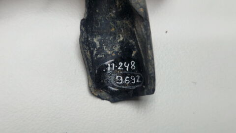 pipe, fragment, image 2/6