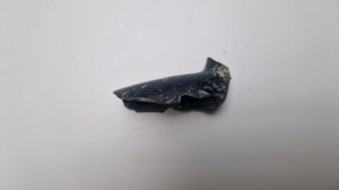 pipe, fragment, image 6/6