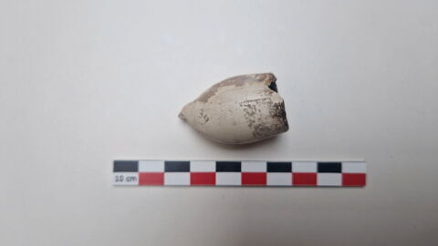 pipe, fragment, image 3/3
