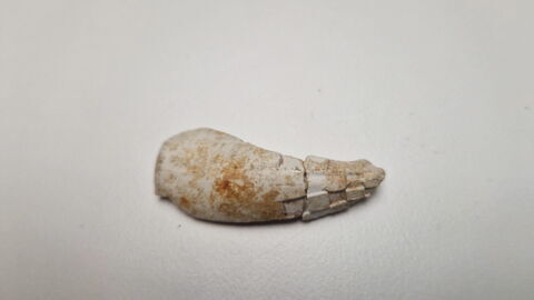 pipe, fragment, image 2/3