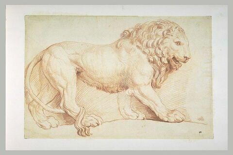 Lion Barberini, image 2/2