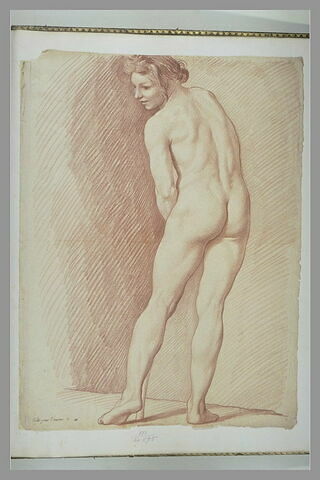 Jeune homme nu, la tête tournée à gauche, image 2/2