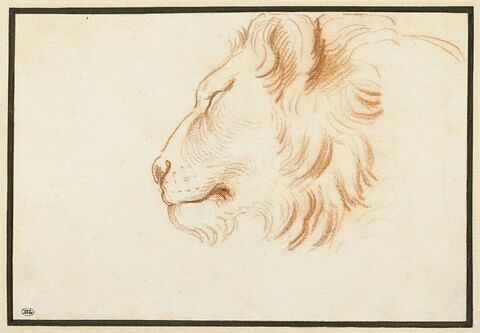 Tête de lion, de profil vers la gauche
