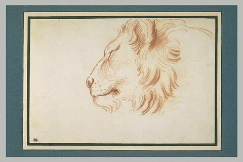 Tête de lion, de profil vers la gauche, image 2/2