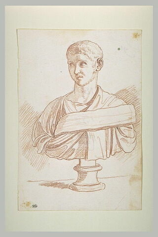 Buste de Sévère Alexandre, image 2/2