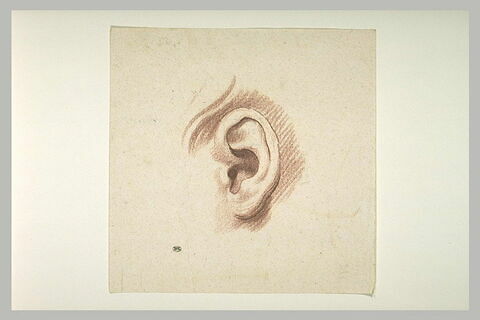 Une oreille gauche, image 2/2
