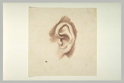 Une oreille gauche, image 2/2