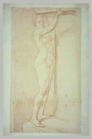 Femme nue, tournée à droite, image 2/2