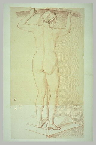 Femme nue, debout, vue de dos, image 2/2