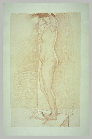 Femme nue, debout vue de côté, tournée à gauche, image 2/2