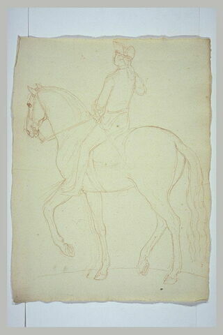 Cavalier et cheval, vus de trois quarts vers la gauche, image 2/2