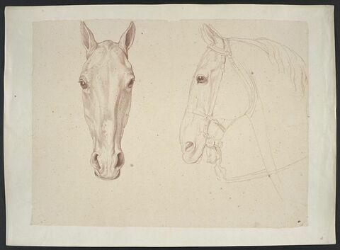 Tête de cheval de face ; tête de cheval bridée, de profil, image 1/2