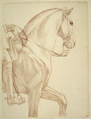 Partie antérieure d'un cheval et indication du cavalier, vus de profil vers la droite