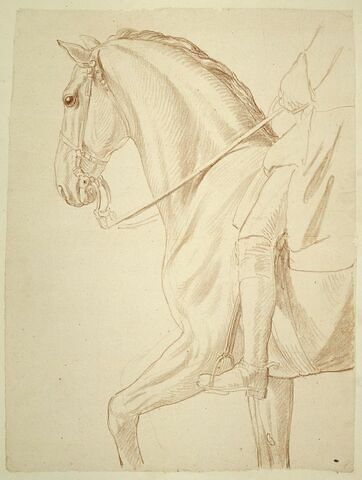 Partie antérieure d'un cheval et indication du cavalier, vus de profil vers la gauche