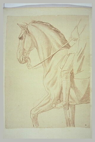 Partie antérieure d'un cheval et indication du cavalier, vus de profil vers la gauche, image 2/2