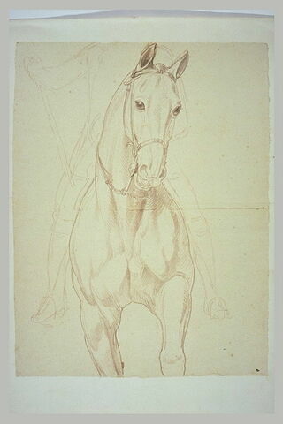 Partie antérieure d'un cheval et indication du cavalier, vus de face, image 2/2