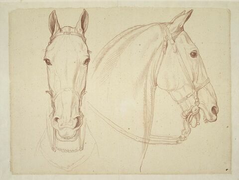Deux têtes de cheval bridées, l'une de face et l'autre de profil