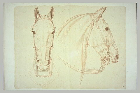 Deux têtes de cheval bridées, l'une de face et l'autre de profil, image 2/2