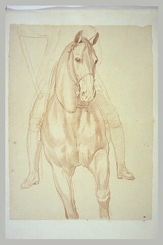 Cheval, vu jusqu'aux genoux, de face, et indication du cavalier, image 2/2
