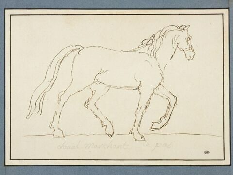 Cheval marchant au pas vers la droite, image 1/2