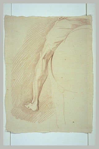Jambe gauche d'un cavalier, tourné de trois quarts vers la gauche, de dos, image 2/2