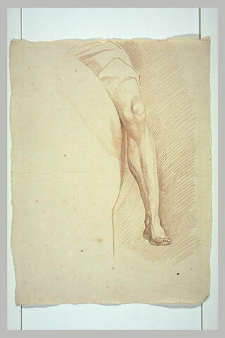 Jambe gauche d'un cavalier, tourné de trois quarts vers la gauche, image 2/2