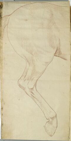 La croupe et la patte droite du cheval de la statue équestre de Louis XV