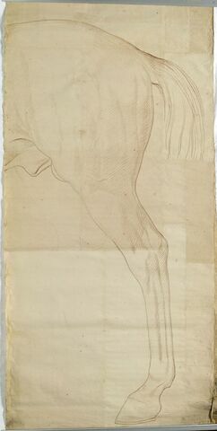 La croupe et la patte gauche du cheval de la statue équestre de Louis XV