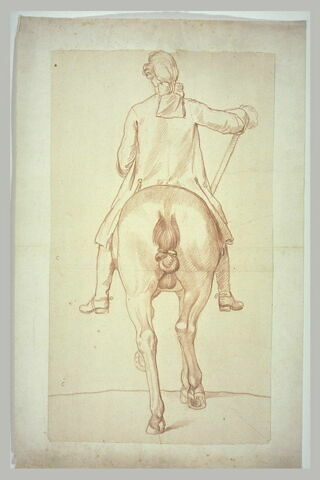 Cavalier et cheval, vus de dos, image 2/2