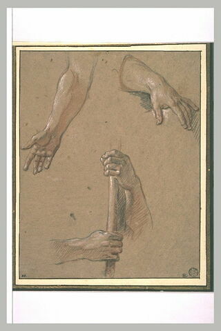 Etude d'un bras, d'un avant bras et de mains tenant un baton, image 1/1