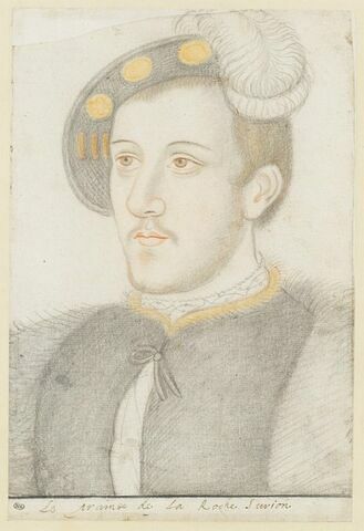 Louis de Bourbon, prince de la Roche-sur-Yon