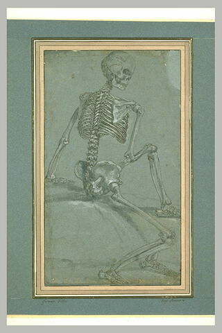 Un squelette assis