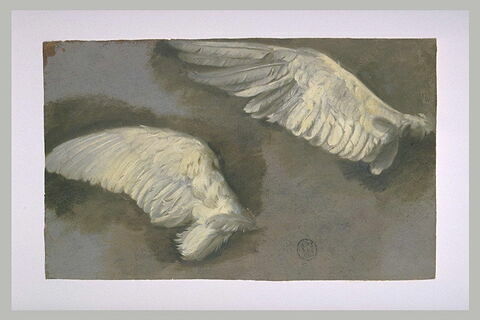Deux ailes, image 1/1