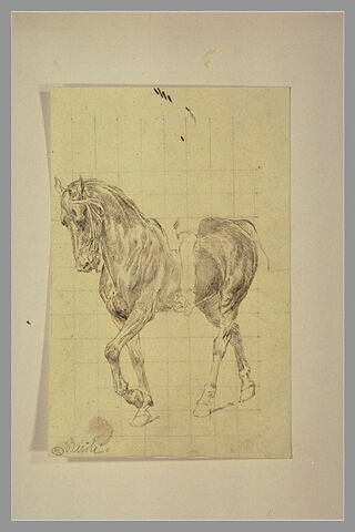 Etude de cheval pour 'Charles Ier', image 1/1