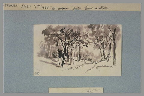 Route bordée d'arbres, image 1/1