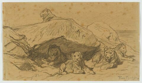 Cinq lions ou lionnes dans les rochers, image 1/1