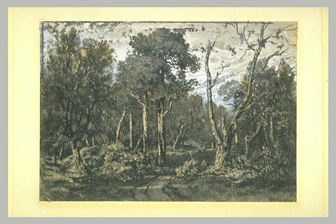 Le chêne brisé, dans la forêt de Fontainebleau, image 2/2