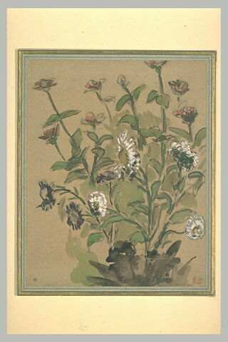 Etude de fleurs : marguerites blanches et zinnias, image 2/2