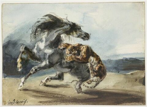 Tigre attaquant un cheval sauvage