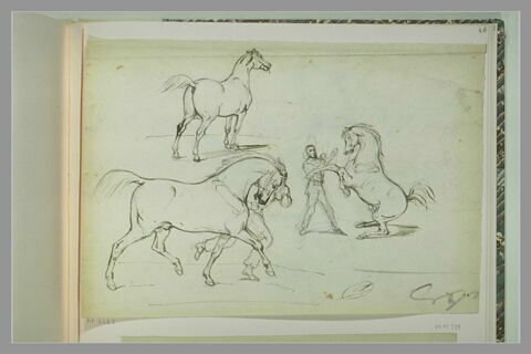 Etudes de chevaux et d'un dresseur, image 1/1