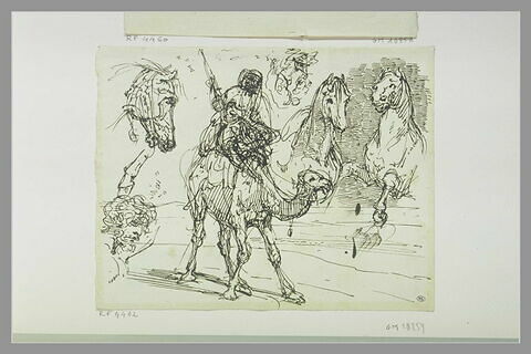 Arabe sur un dromadaire ; deux chevaux ; tête de cheval ; tête d'homme