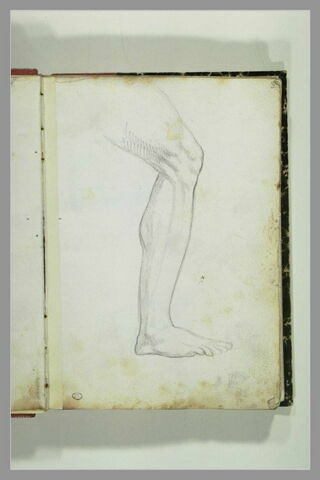 Jambe d'homme, image 2/3