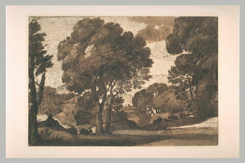 Paysage pastoral avec de grands arbres, image 2/2