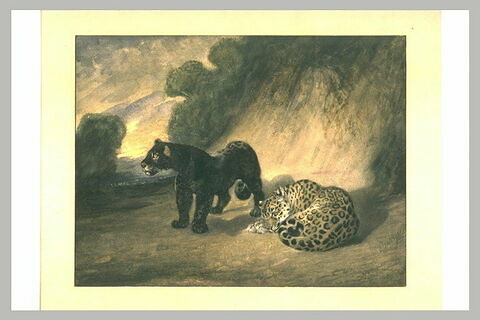 Deux jaguars du Pérou