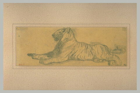 Un tigre couché, de profil, tourné vers la gauche, image 1/1