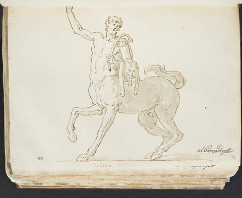 Le Centaure Furietti, barbu et tourné vers la gauche